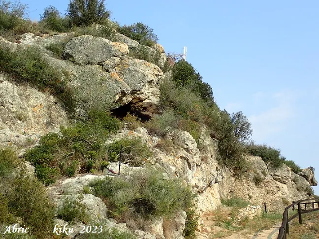 Fotografia de GUNYOLES, COVA I ABRIC DE LES (3 de 4)