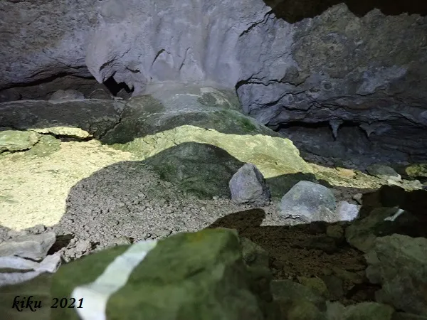 Photographie de CINGLE DE PUIGXIQUET, COVA DEL (4 sur 5)