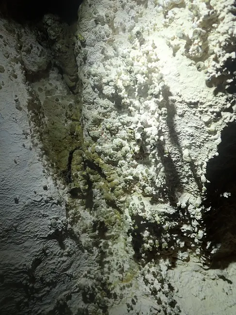 Fotografía de FORAT AMAGAT, COVA (4 de 4)