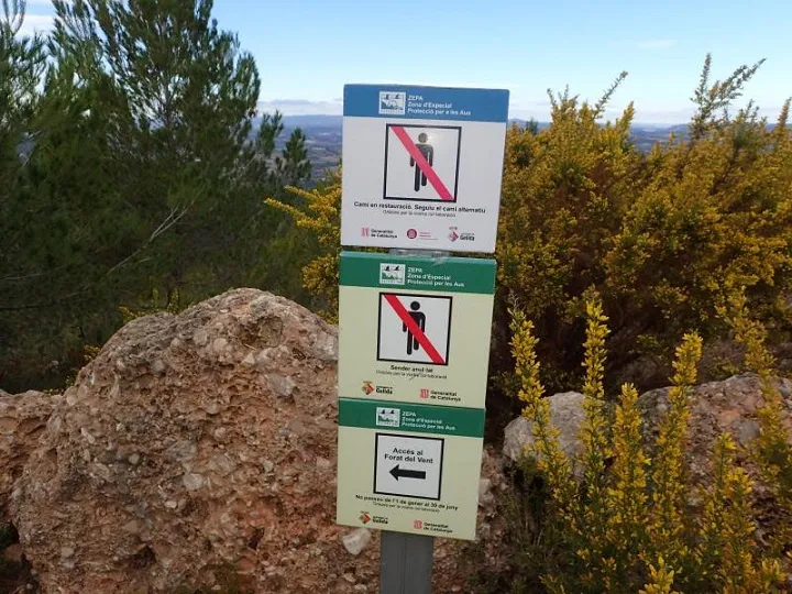 Fotografía de TORRENT DE SANT MIQUEL, ESQUERDA DEL (7 de 8)