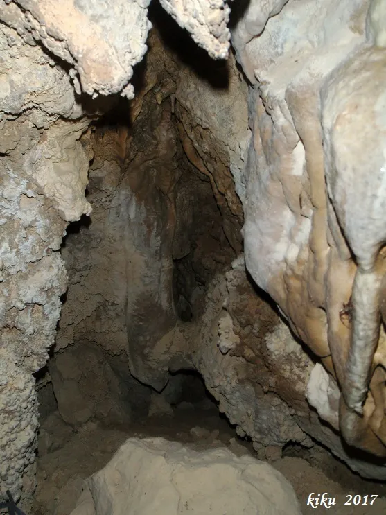 Fotografia de FOSCA DE VILANOVA, COVA (8 de 9)