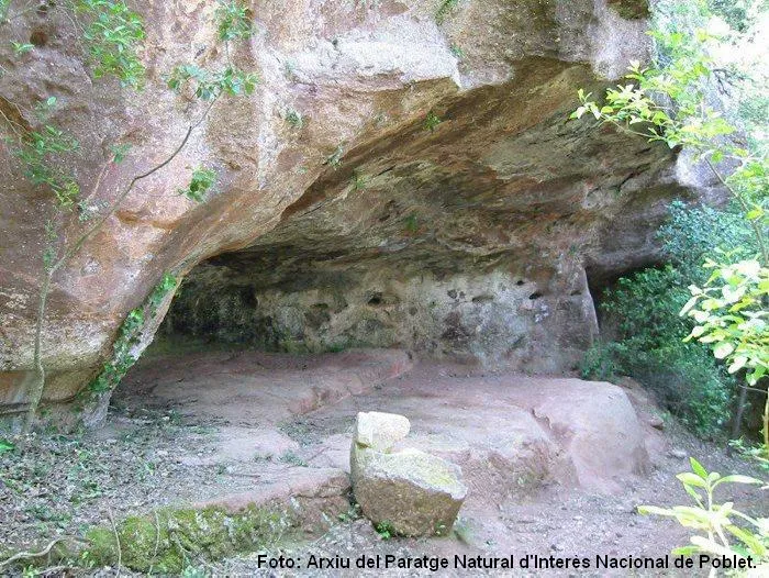 Fotografía de FRA MARGINET, COVA DE (1 de 1)