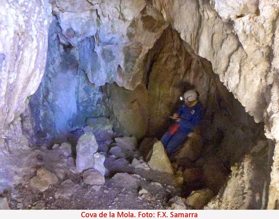 Fotografia de MOLA, COVA DE LA (4 de 4)
