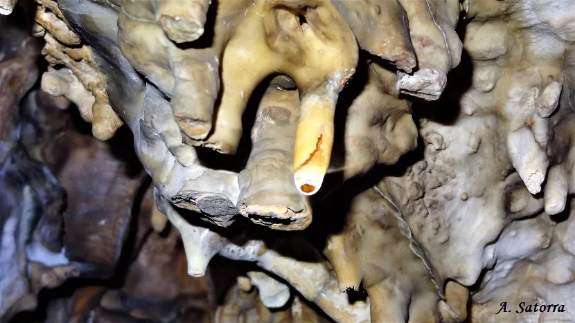 Fotografia de FOSCA DE VILANOVA, COVA (4 de 9)