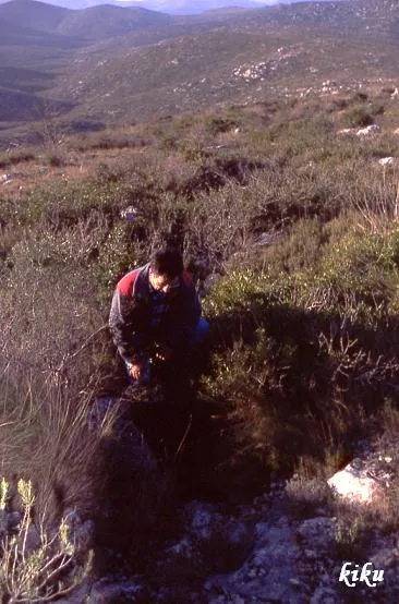 Photograph of PENYA BLANCA,  AVENC DE LA (1 of 2)
