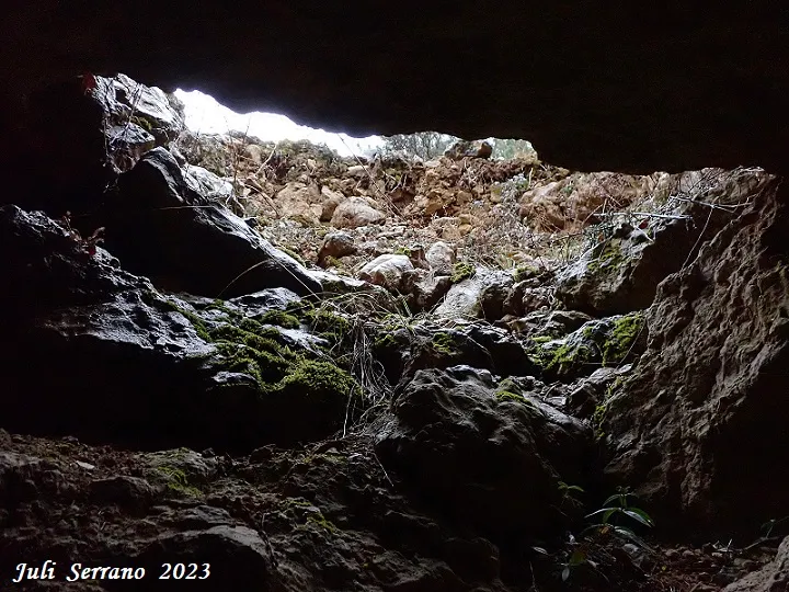 Photographie de SENSE NOM, COVA (6 sur 8)