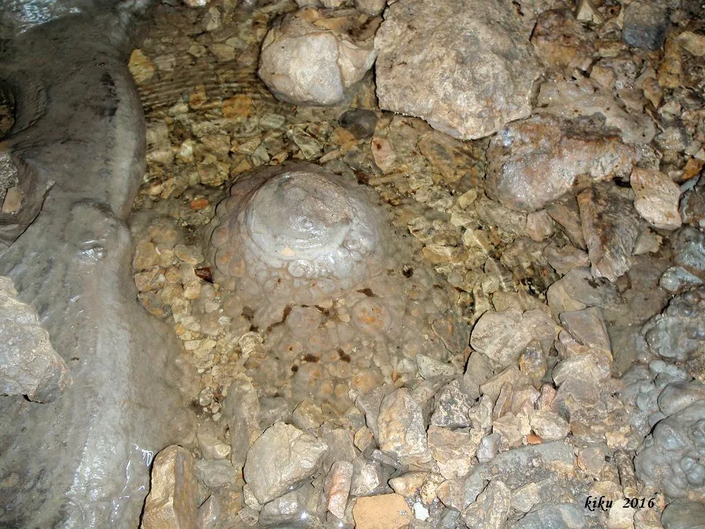 Fotografia de PLA DELS ALBERCOQUERS, AVENC DEL (2 de 7)