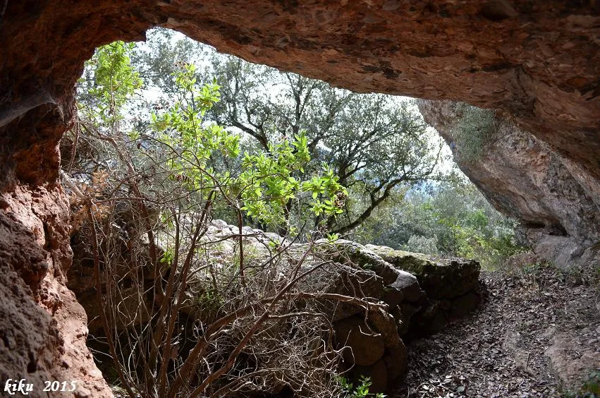 Fotografia de GRAONS DE MURA, BALMA DELS (3 de 3)