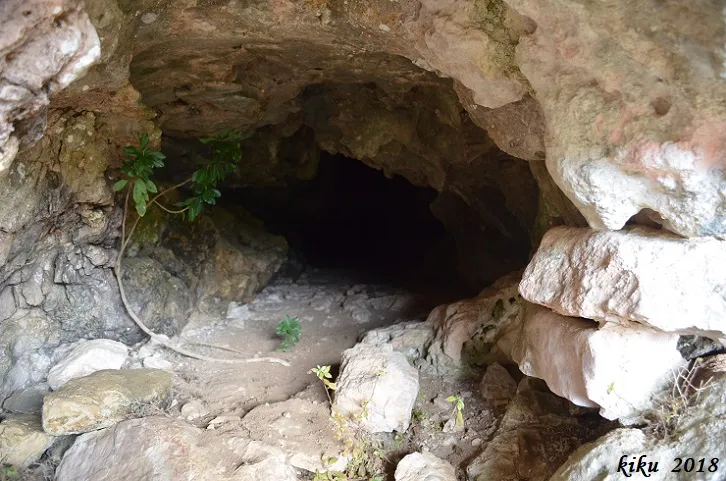 Photograph of ESCUDELLETA, COVA Nº6 DE L' (3 of 5)