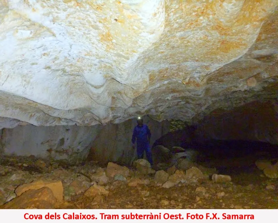 Fotografia de CALAIXOS DE L'ERELDO, COVA DELS (4 de 6)
