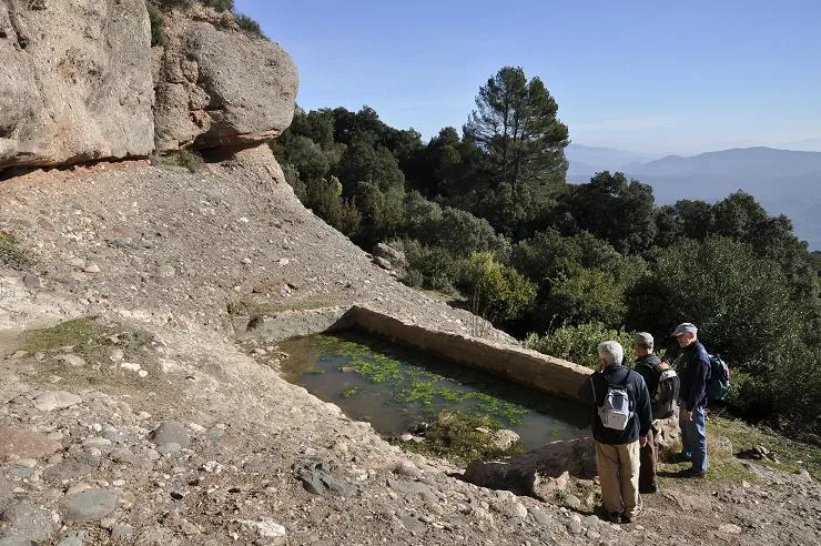 Photograph of ÒBITS, ELS (6 of 6)