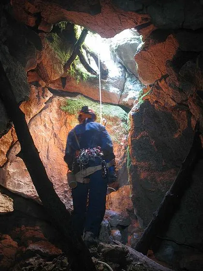 Fotografia de RACONADA, BÒFIA DE LA (3 de 3)