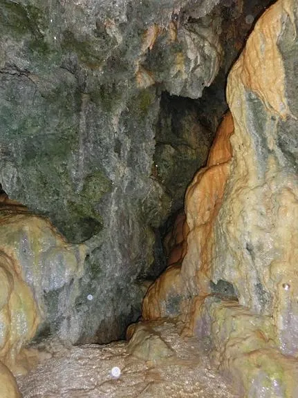 Fotografia de FONTANIL, COVA DE (2 de 4)