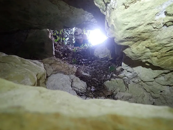 Photograph of TALLAFOCS, COVA DEL (2 of 5)
