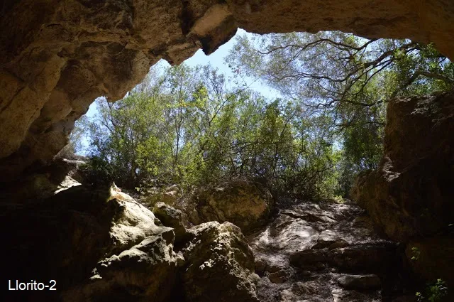 Photographie de LLORITO, COVES DEL (5 sur 11)