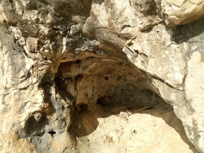 Photographie de CRANI, COVA DEL (2 sur 4)