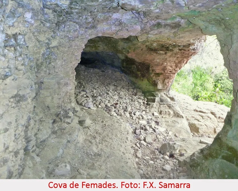 Photographie de FEMADES, COVA DE LES (3 sur 4)
