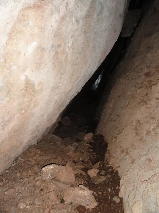 Fotografía de SARGANTANA, COVA DE LA (2 de 2)