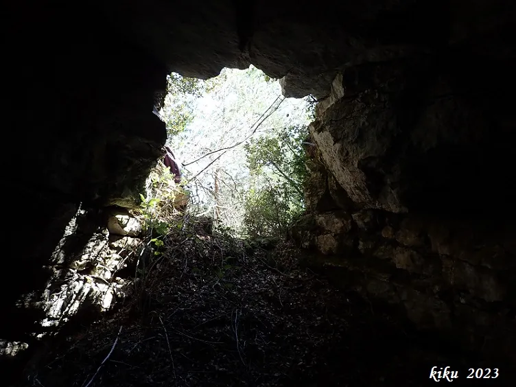 Photograph of GAT CENDRER, FORAT DEL (8 of 8)
