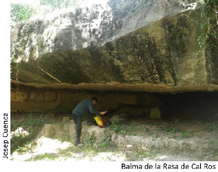 Fotografia de RASA DE CAL ROS, BALMA DE LA (2 de 2)