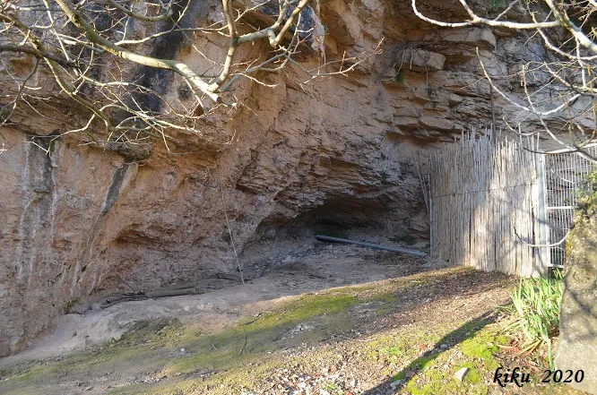 Fotografia de HORT DEL SOLER, COVA DE L' (3 de 3)