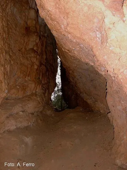 Fotografia de MANEL, COVA DEL (1 de 21)