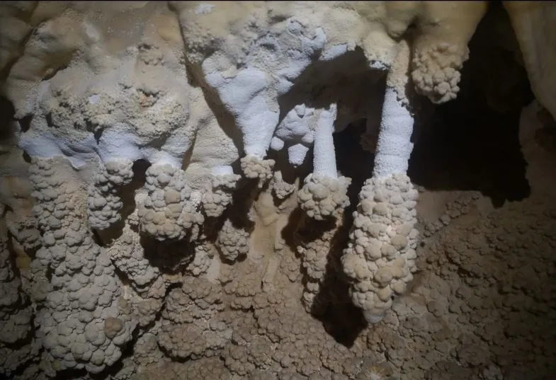 Fotografia de PEDRERA DE L'ANTIC, FORAT DE LA (8 de 8)