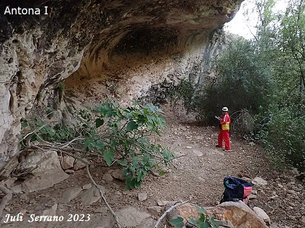 Fotografia de ANTONA, COVES D' (2 de 17)