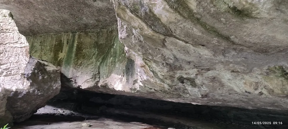Fotografia de SALTANT, COVA DEL (5 de 6)