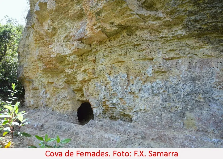 Photographie de FEMADES, COVA DE LES (1 sur 4)