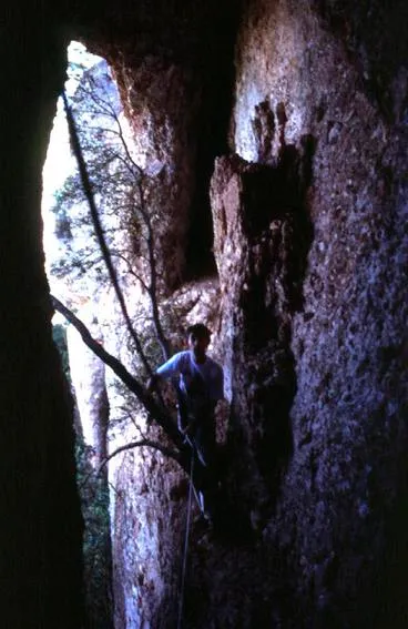 Photograph of ESQUIROL, COVA DE L' (6 of 7)