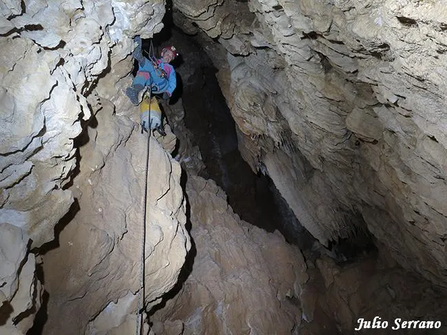 Fotografia de COSTA D'ALZINA, GRALLER DE (7 de 11)