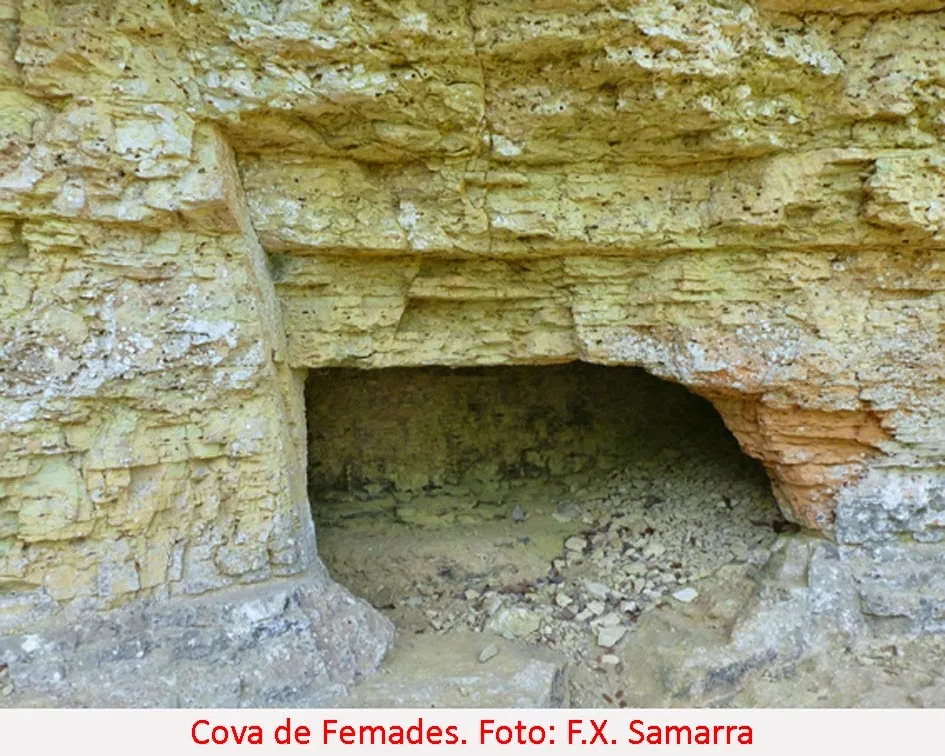Photographie de FEMADES, COVA DE LES (2 sur 4)