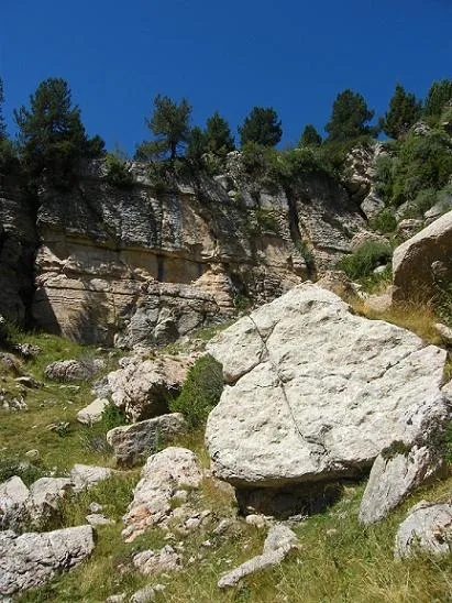 Fotografía de PEDRÓ, BÒFIA DEL (3 de 5)