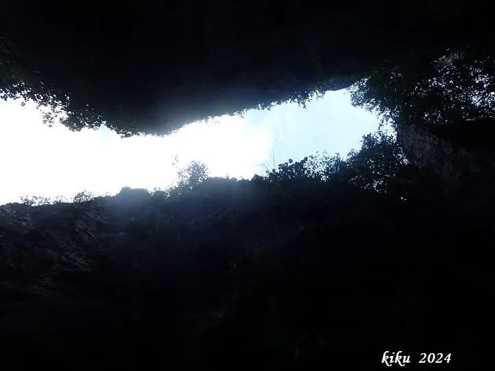 Fotografía de FOU DE BALET (8 de 11)