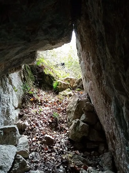 Photographie de BANCARRASSOS, ESCLETXA DELS (1 sur 4)