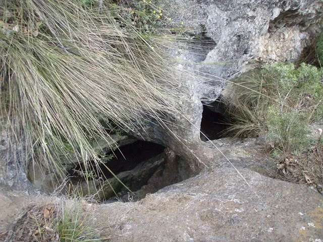 Fotografia de CINGLE, AVENC DEL (2 de 8)