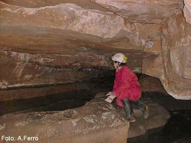 Photographie de SANTA AGNÈS, COVA DE (7 sur 8)