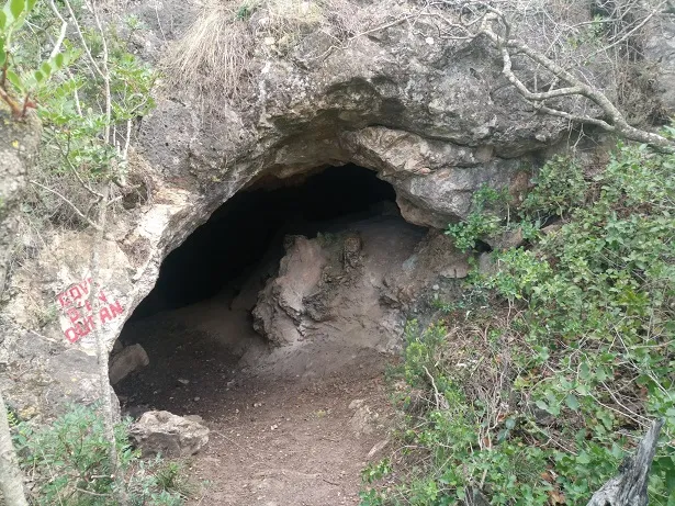 Photograph of DURAN, COVA D'EN (2 of 5)