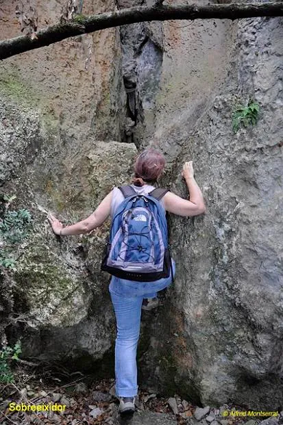 Fotografía de CAL SALA, COVES DE (4 de 6)