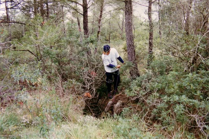 Photograph of VINYA DEL TITÀ, AVENC PETIT DE LA (1 of 1)