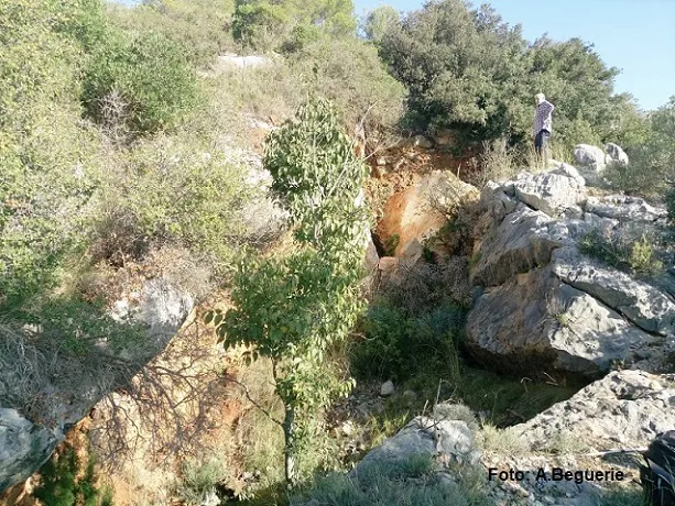 Fotografia de CAN SADURNÍ, AVENC PETIT DE (3 de 3)