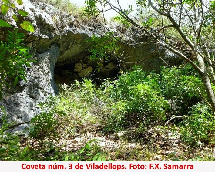 Fotografia de VILADELLOPS, COVETES DE (4 de 4)