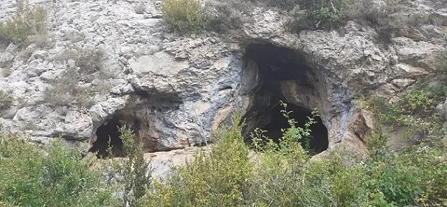 Photograph of FESOLERETS, COVA DE (3 of 4)