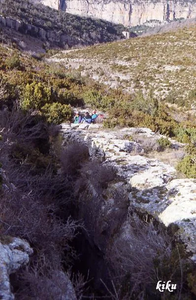 Fotografía de ALSAMORA,  GRALLERA D' (1 de 1)