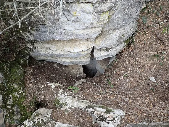 Fotografia de TOSSAL DE CANTACORBS, AVENC DEL (1 de 9)