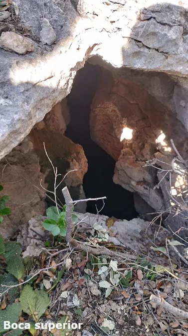 Fotografia de COMARQUES,  GRALLER DE LES (1 de 14)