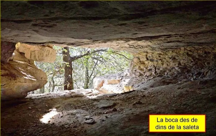 Fotografía de AVELLANA, COVA DE S' (3 de 5)