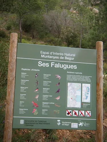Fotografía de FALUGUES, COVES DE SES (1 de 11)