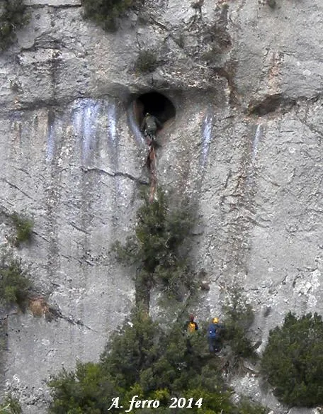 Photograph of FONT FREDA, COVA Nº2 DE LA (4 of 7)